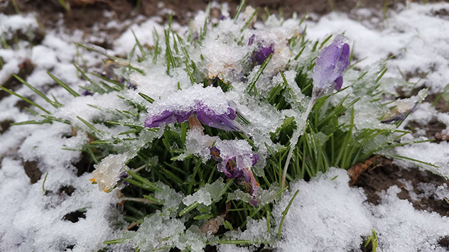 © Pascal Erwerle Im Saarland hat es am Donnerstagmorgen geschneit.