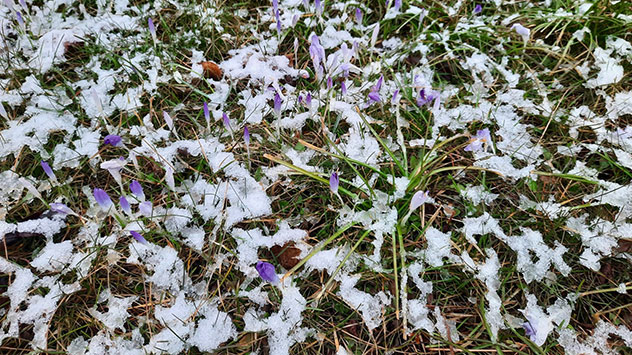 © Ralf Kammer Auch im thüringischen Schleiz liegt am Morgen ein wenig Schnee.