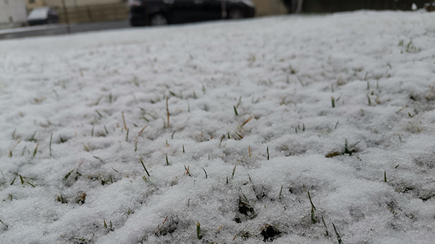© Pascal Erwerle Wie hier in Sankt Ingbert bildet sich mancherorts sogar eine nasse Schneedecke.