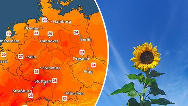 TemperaturRadar mit 23 bis 28 Grad neben einer Sonnenblume vor blauem Himmel.