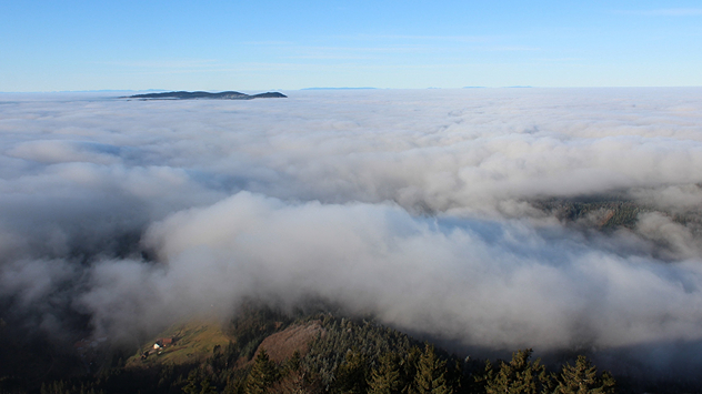 Auf dem Schwarzwald kann man derzeit weit in die Ferne gucken.