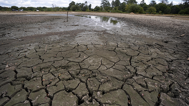 Cracked mud covering the floor of a dried-up pond with a small pool of remaining water, exposed shoreline, and trees in the background, illustrating severe drought conditions.