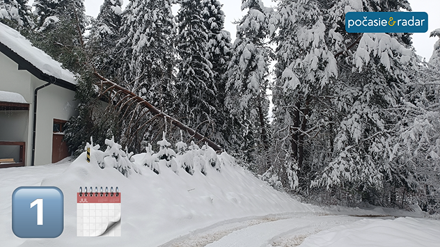 Zasnežené stromy a krajina.
