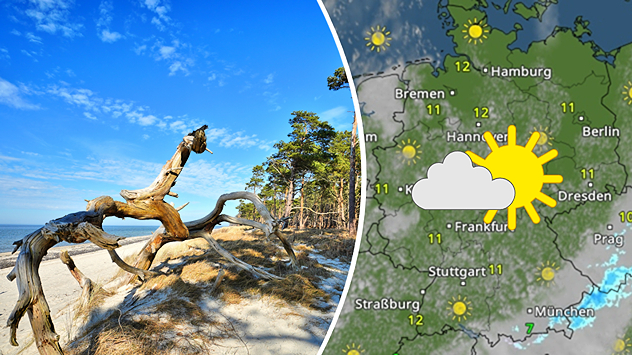 Geteilte Grafik: links Küstenlandschaft mit Treibholz auf der Halbinsel Fischland-Darß-Zingst, aufgenommen am 5. März 2026, rechts eine WetterRadar-Karte von Deutschland mit Sonne-Wolken-Symbol.