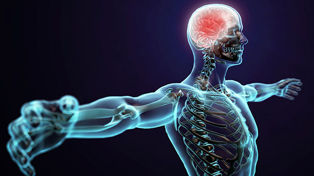 Hirn von Erreger befallen