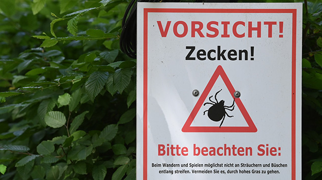 Zecken sind bereits bei Temperaturen um 7 Grad aktiv. 