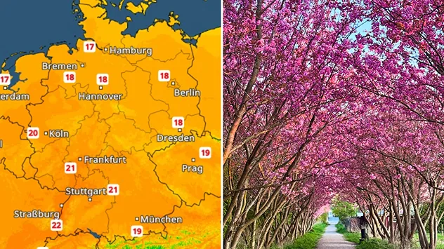 Links eine Deutschlandkarte mit Temperaturen um 17 bis 22 Grad, farblich in Orange dargestellt. Rechts ein Weg unter blühenden rosa Bäumen mit dichter Blütenpracht. Frühlingshafte Stimmung mit mildem Wetter und Naturkulisse.