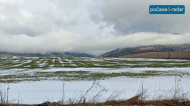 Čiastočne zasnežené pole.