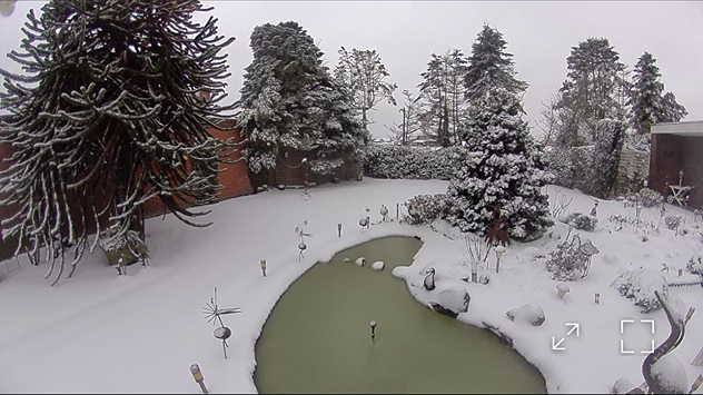 © Olaf Februarschnee verzaubert einen Garten in Lastrup im Oldenburgischen Münsterland.