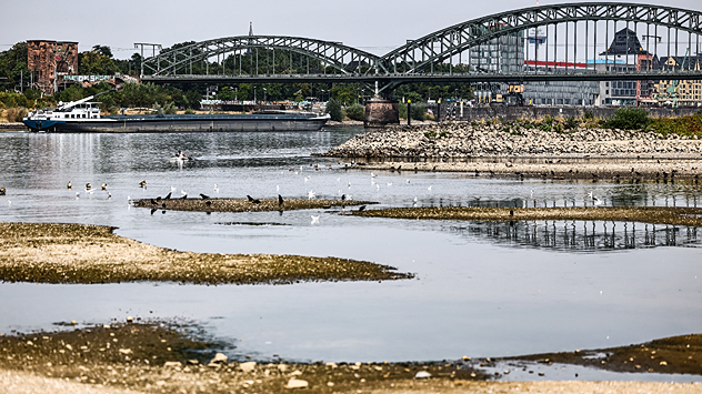 Niedriger Wasserstand des Rheins bei Köln mit freiliegenden Sand- und Kiesbänken. Im Hintergrund verlaufen die Hohenzollernbrücke und ein Frachtschiff.