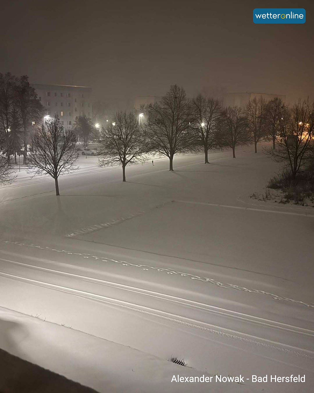 Verschneite Straße und Bäume bei Nacht, beleuchtet von Straßenlampen.