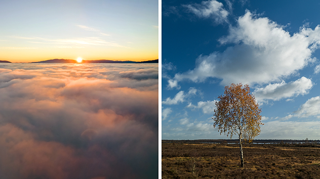 Links: Sonne über dichter Hochnebeldecke. Rechts: Einzelner Baum unter blauem Himmel mit Quellwolken.