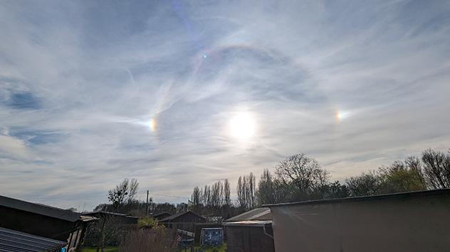 © Alexander Schneider Willich