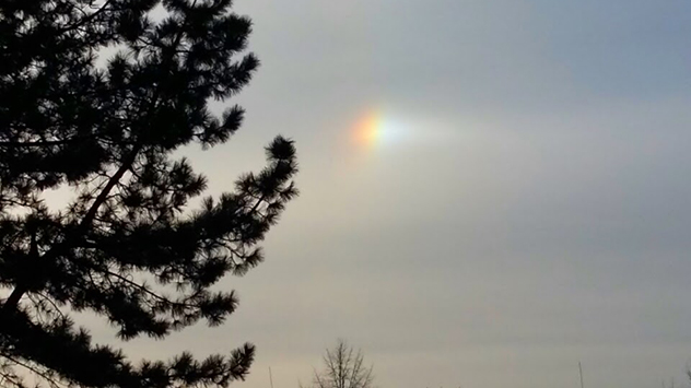 © Mireille Xochitl Castano Osnabrück