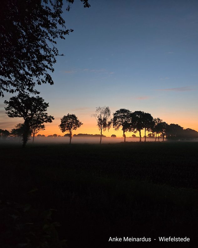 Mystischer Sonnenaufgang mit Morgenebel