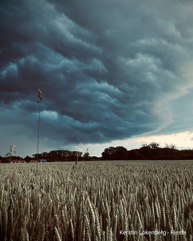 Bedrohlich aussehendes Gewitter über einem Feld