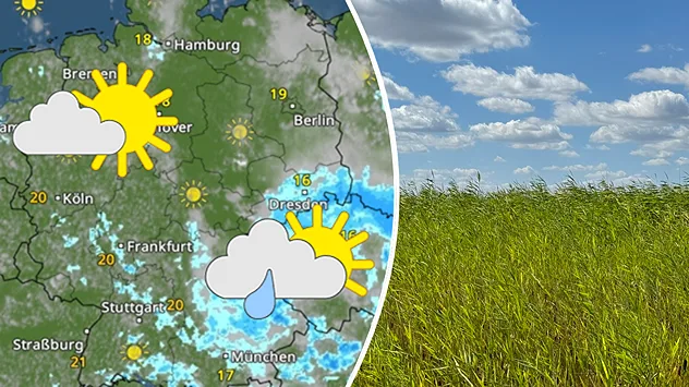 Links das WetterRadar für Deutschland, rechts blauer Himmel und Quellwolken über einem Feld