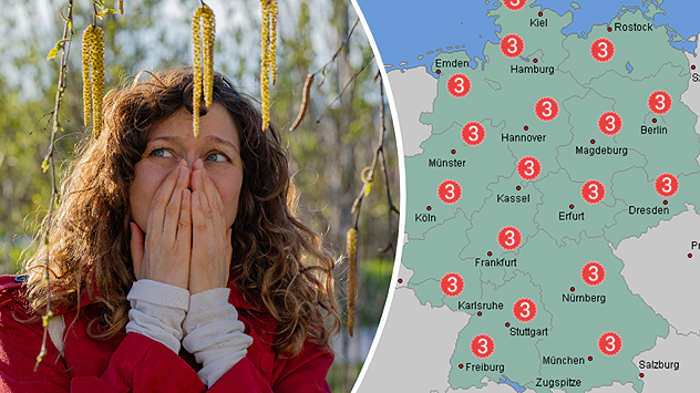 Frau niest unter blühenden Kätzchenzweigen. Karte zeigt hohe Pollenwerte in Deutschland. Weit verbreitete Belastung für Allergiker.