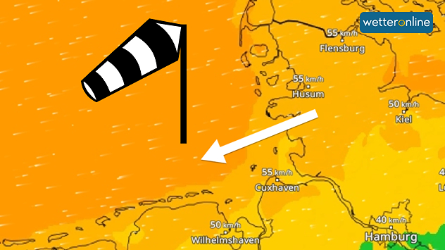 WindRadar zeigt strammen Ostwind an der Nordseeküste