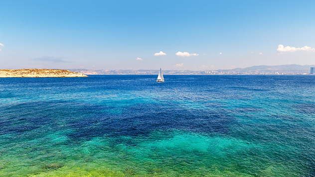 © Feel good studio/Shutterstock.com