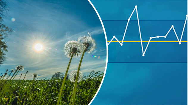 1ef41808-7bb5-667c-8a03-556f1af65511 - © Heinz-D. Fleck November ausgesprochen mild - Pusteblumen bei Sonnenschein auf saftig grüner Wiese