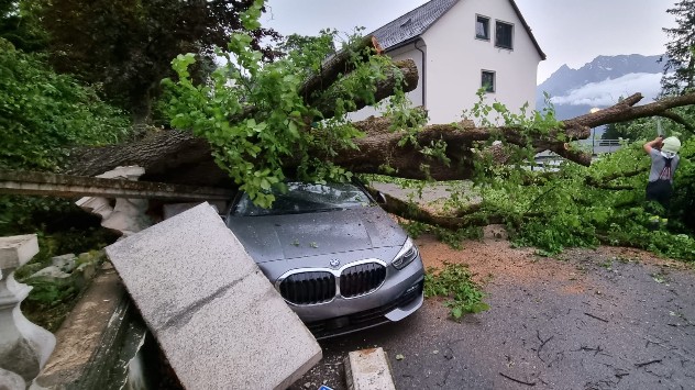 Im Bezirk Liezen stürzten Bäume auf Fahrzeuge. 