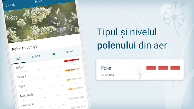 Tipul și nivelul polenului din aer în aplicația Meteo & Radar
