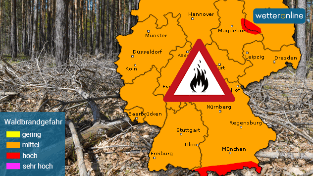 Karte der Waldbrandgefahr in Deutschland mit Hintergrundbild von trockener Vegetation Karte der Waldbrandgefahr in Deutschland mit Hintergrundbild von trockener Vegetation