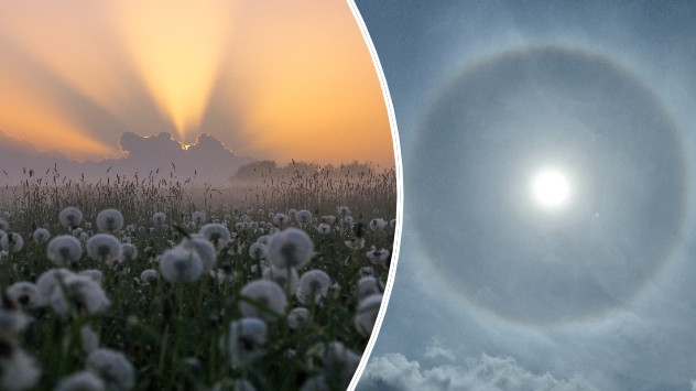 Left image shows crepuscular rays emerging from behind cloud cover with flowers in the foreground. Right image shows a solar halo