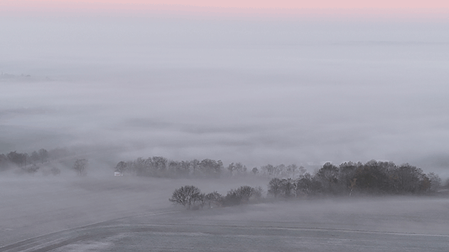 Nur Baumkronen ragen aus dem Nebelmeer heraus.