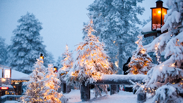 Коледа в планината, с борчета и елхи отрупани със сняг