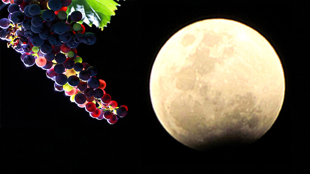 1ef4442b-8709-6560-af88-d9cf78547edc - © Montage: WetterOnline Partielle Mondfinsternis 632