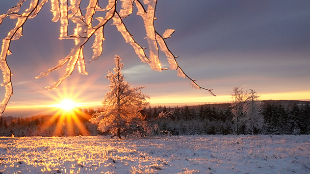© Petra Köster Sonnenaufgang auf Kahlen Asten