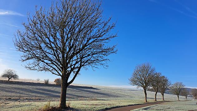© Kathrin Wenzel blauer Himmel über Landschaft in Nordhessen