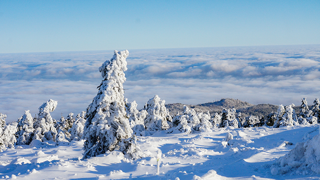 © Torsten Brehme Auf dem Brocken im Harz ist der Winter bereits angekommen. Bei Dauerfrost verwandeln Eis und Schnee die Landschaft in einen wahren Wintertraum,