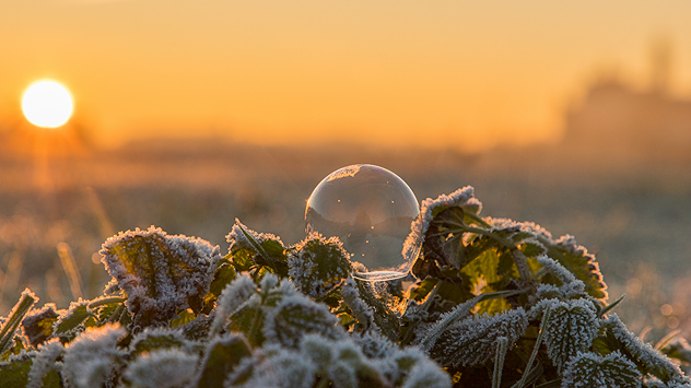 © Daniela Böhme Frost über Elbtal in Morgenstimmung