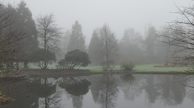© Anke Meinardus Ganz anders sieht im Norden des Landes aus. Zäher Nebel hält sich in vielen Teilen Niedersachsens.