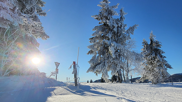 © Thomas Gutmann Weiße Weihnachten sind in den Hochlagen der Mittelgebirge garantiert, wie hier im Südschwarzwald.