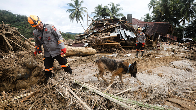 The picture shows a destroyed house with rubble and debris. Two people and a dog are searching for victims.