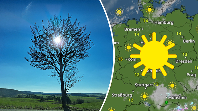 Geteilte Grafik: links sonnige Landschaft im Edertal mit Baum vor blauem Himmel, aufgenommen am 2. März 2026, rechts eine WetterRadar-Karte mit viel Sonnenschein und milden Temperaturen.