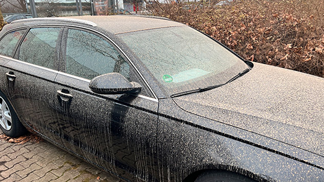Auto, bedeckt mit einer Schicht aus Blüten- und Saharastaub. 