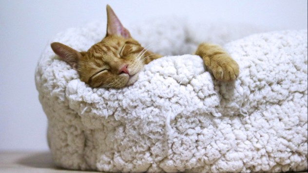 Весняна втома