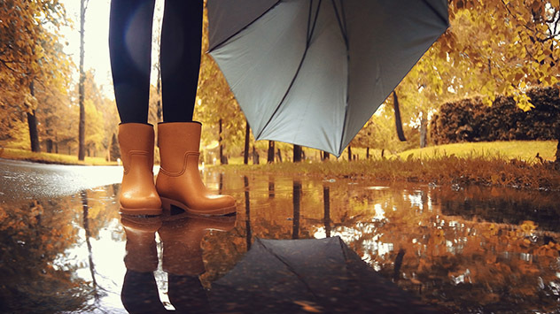 Ambiance humide d'automne