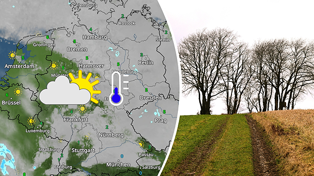Links: WetterRadar-Karte vom 23. Dezember zeigt dichte Wolken mit einzelnen Auflockerungen im Osten – unterlegt mit einem Sonne-Wolke-Symbol und kühler Luft (blaues Thermometersymbol). Rechts: Winterlich graue Landschaft mit kahlen Bäumen und matschigem Weg – typisches mildes Dezemberwetter ohne Schnee.
