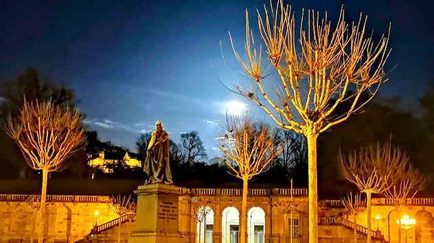 Wolfsmond in hellerleuchtetem Innenhof 