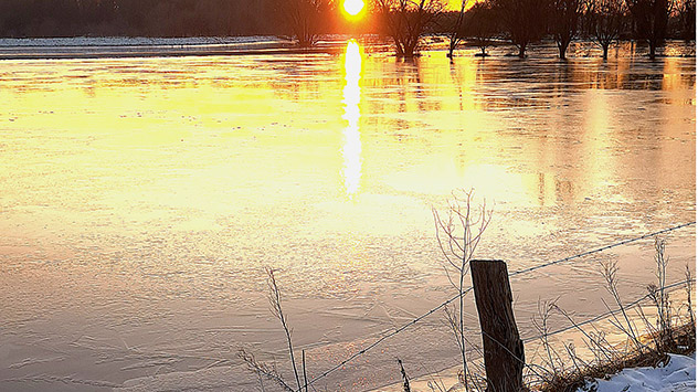 An der Aller frieren die überfluteten Felder ebenfalls zu.
