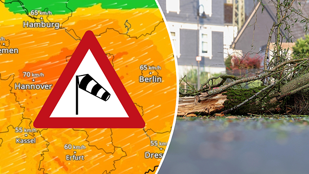 WindRadar mit Böen bis 70 km/h, Warnschild vor starkem Wind und umgestürzter Baum.
