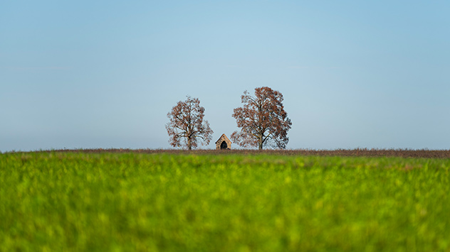 Teaser Sonne Herbst