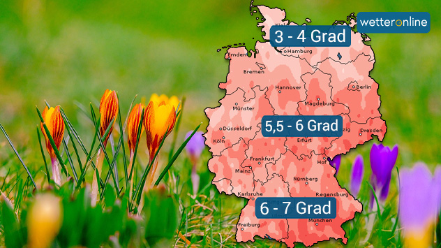 große Temperaturabweichung vom Klimamittel in Deutschland - im Hintergrund blühende Krokuss auf Wiese.