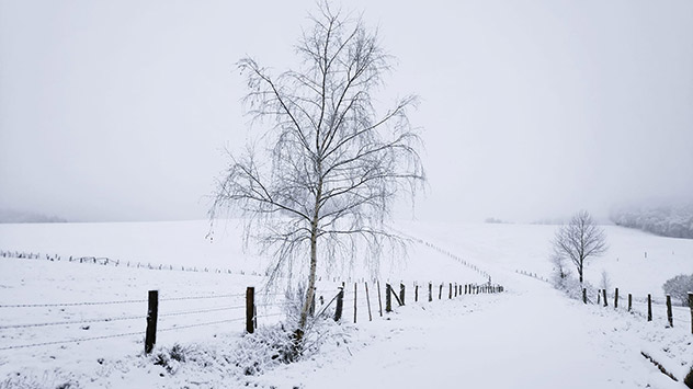 Winterlandschaft im Bergischen Land
